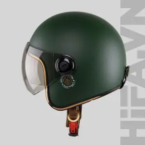 Rêu Nhám